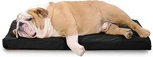 Tough Rip-Stop Orthopedic Dog Bed - Durable, Removable, Washable Cover, Kennel Pad Fits in Crate, Medium 35"x22", Light Gray Ve