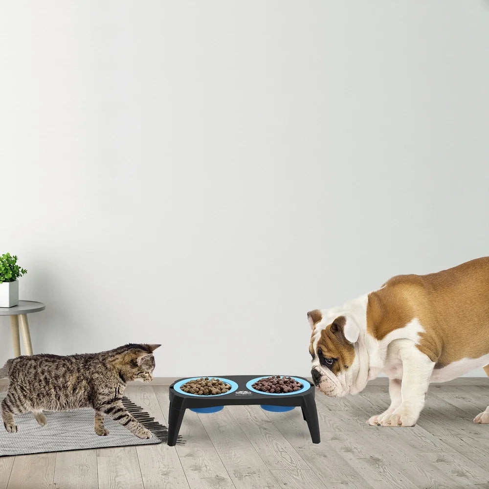 Elevated Dog Cat Feeding Station Non-Slip Stand Portable Collapsible Bowls Easy Storage Healthy Eating Pet Supplies